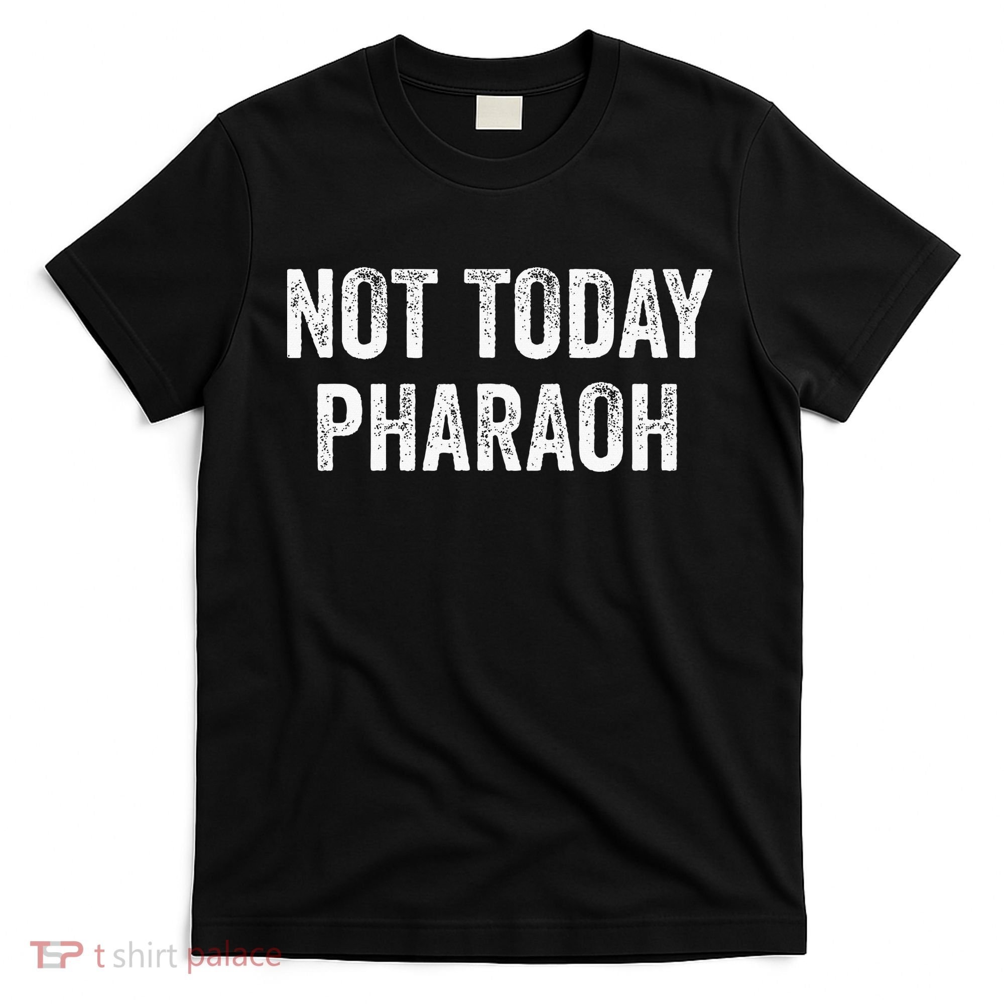 Passover Pesach Jewish Egypt Exodus T-Shirt