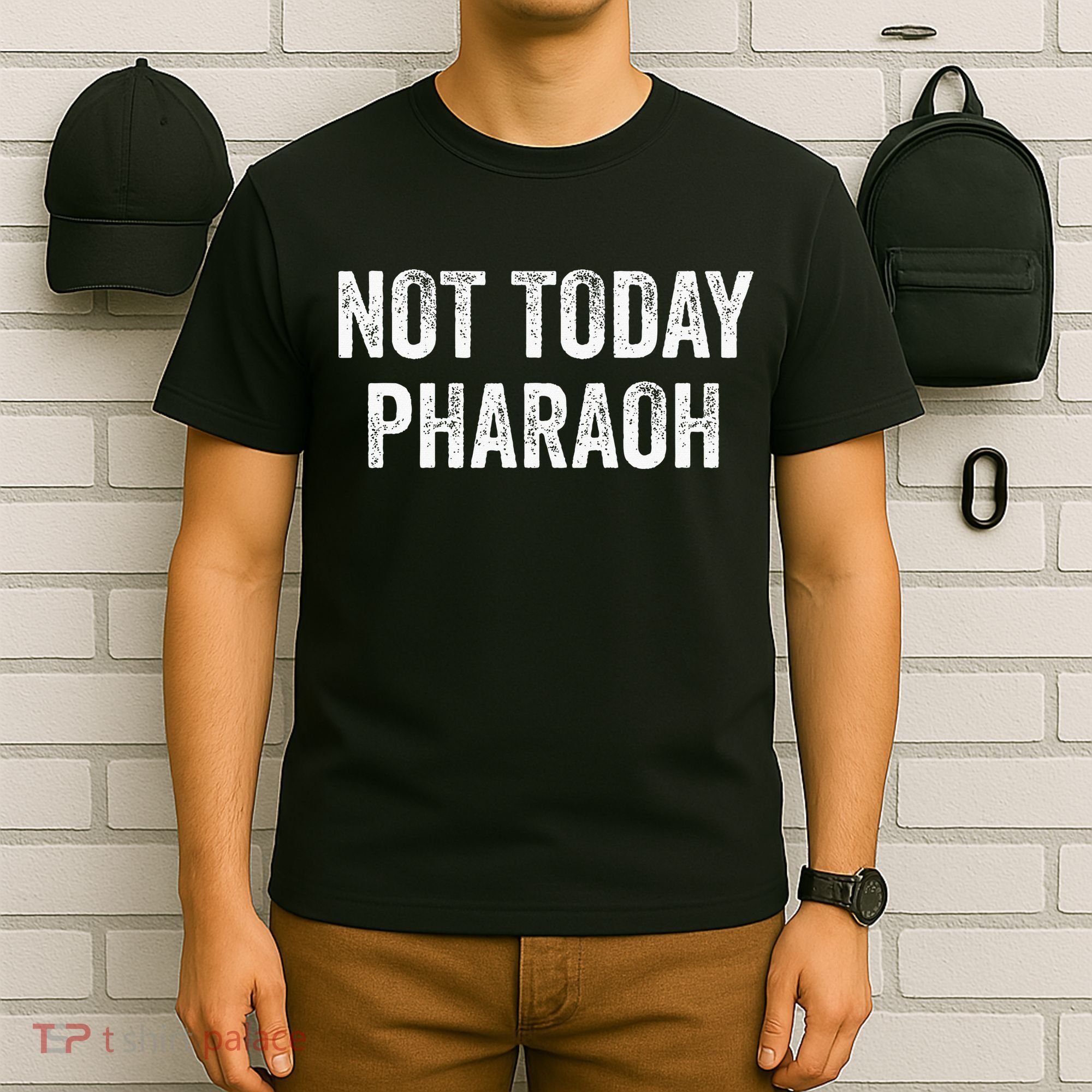 Passover Pesach Jewish Egypt Exodus T-Shirt