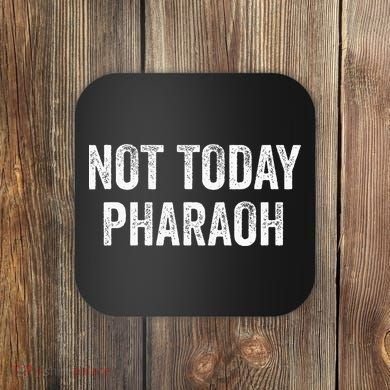 Passover Pesach Jewish Egypt Exodus Coaster