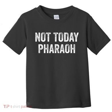 Passover Pesach Jewish Egypt Exodus Toddler T-Shirt