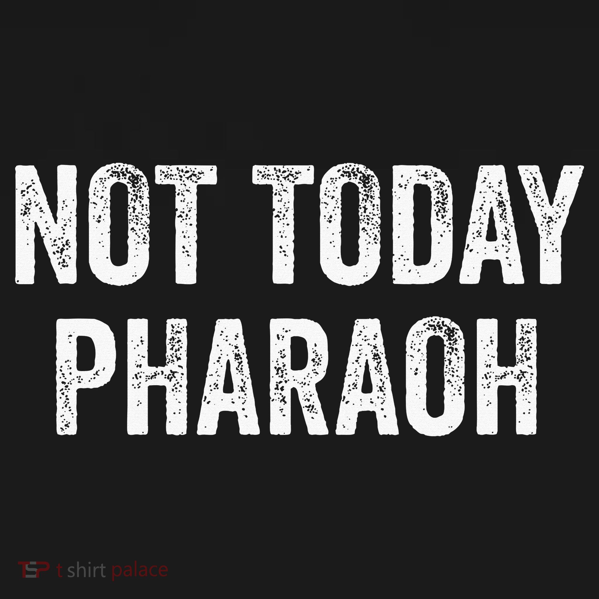 Passover Pesach Jewish Egypt Exodus Toddler T-Shirt
