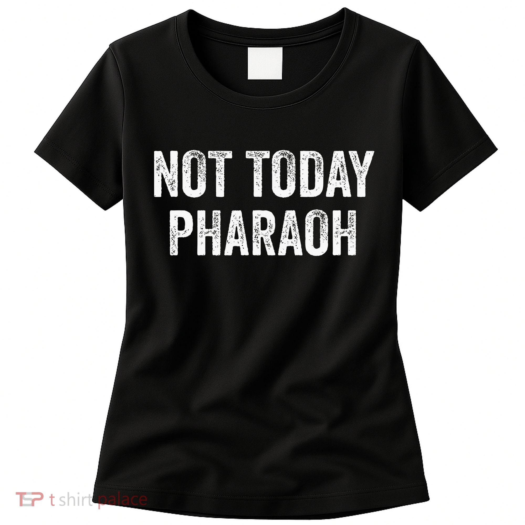 Passover Pesach Jewish Egypt Exodus Women's T-Shirt