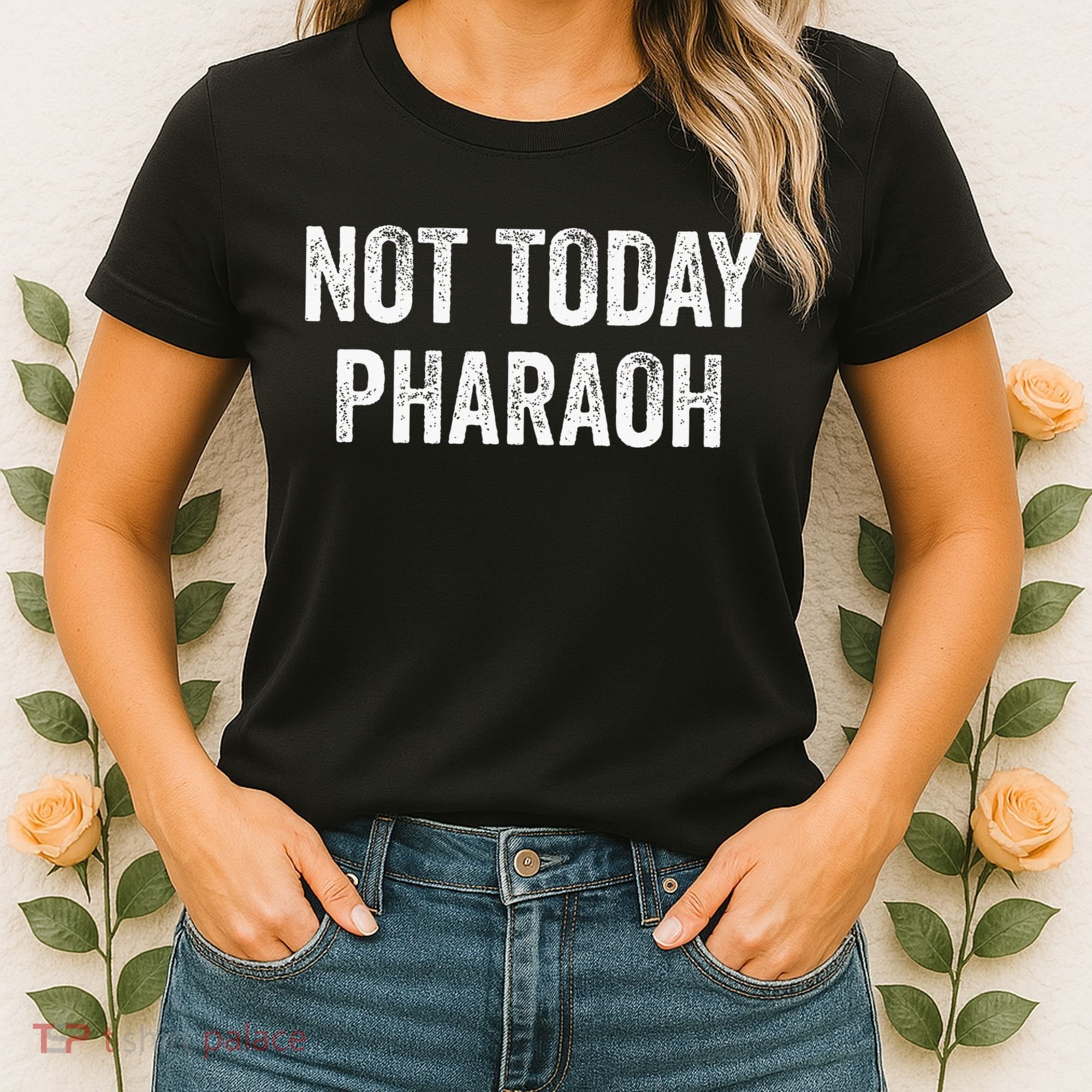 Passover Pesach Jewish Egypt Exodus Women's T-Shirt