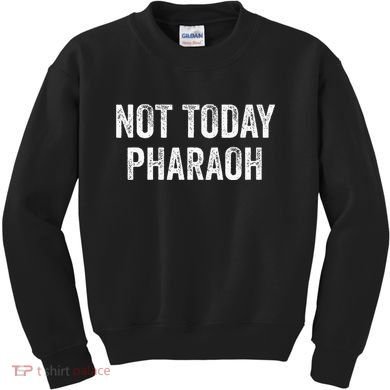 Passover Pesach Jewish Egypt Exodus Kids Sweatshirt