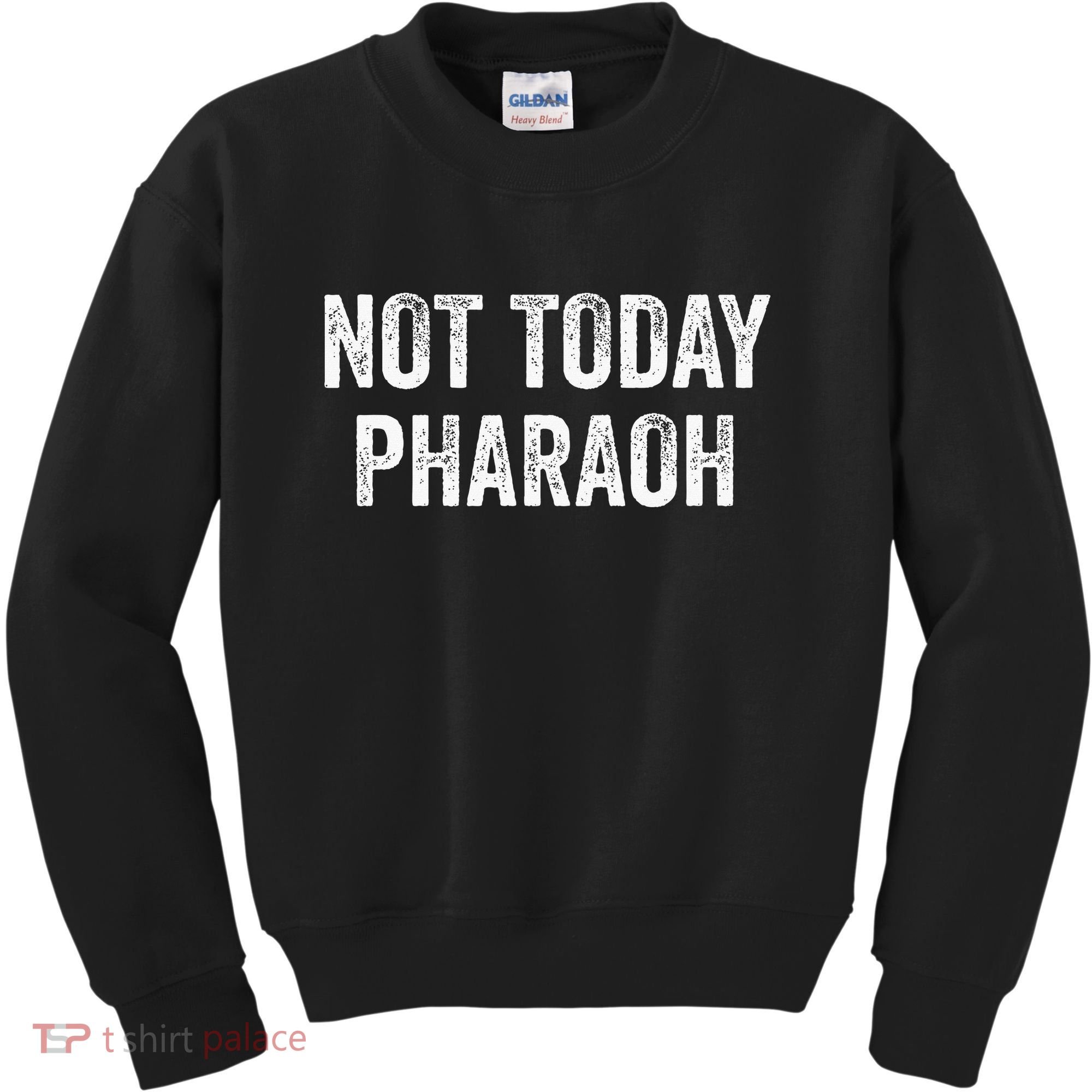 Passover Pesach Jewish Egypt Exodus Kids Sweatshirt