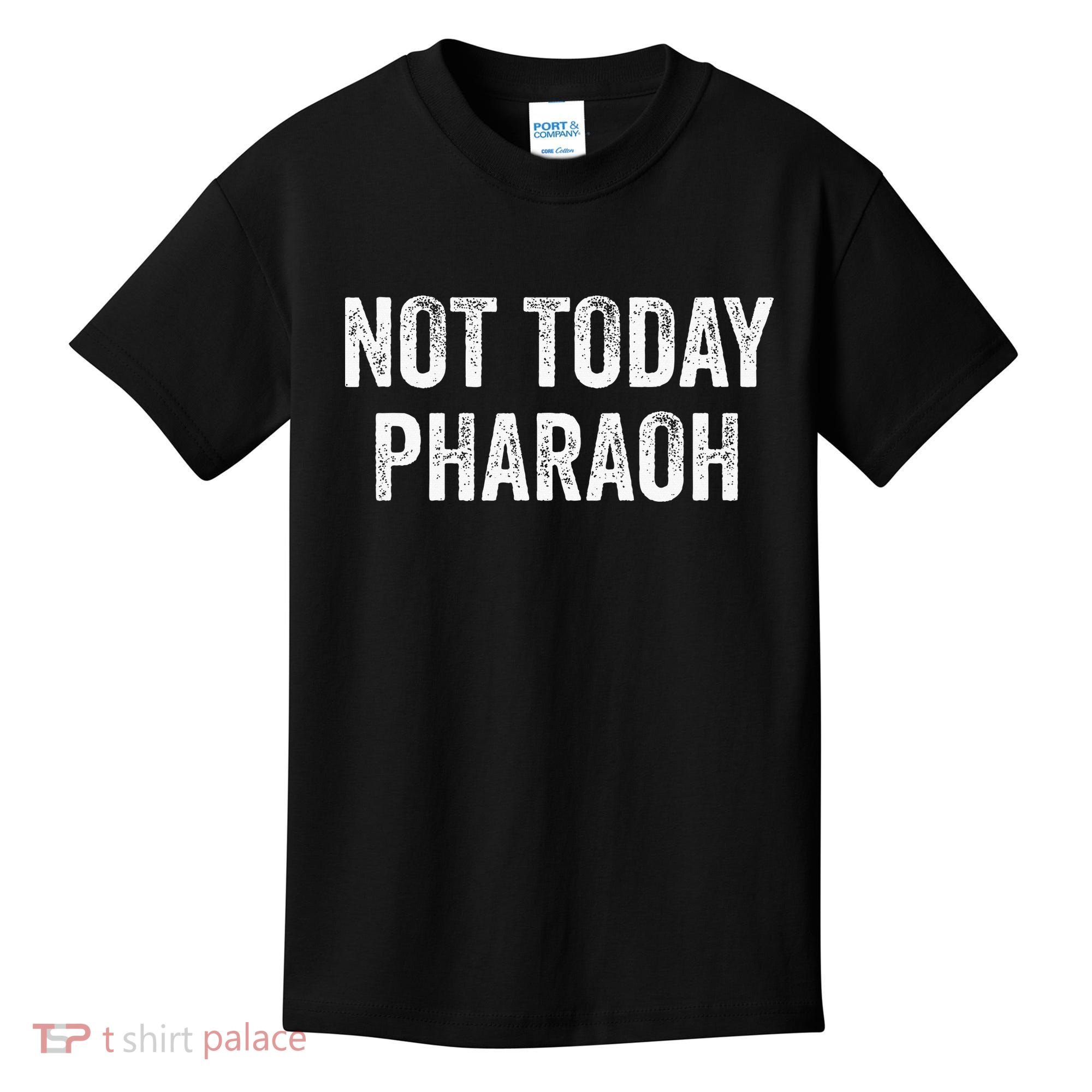 Passover Pesach Jewish Egypt Exodus Kids T-Shirt