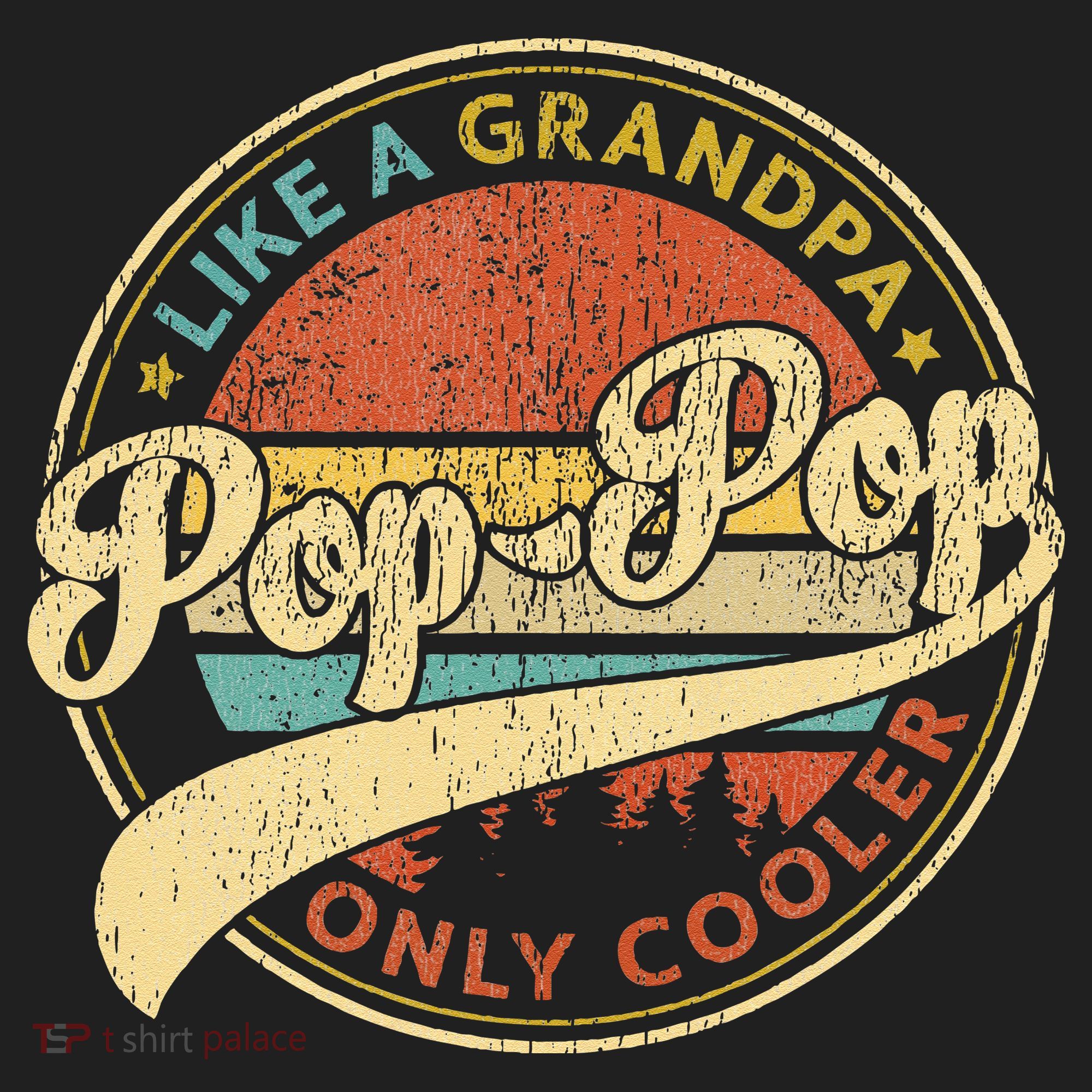 Pop Pop Like A Grandpa Only Cooler Retro Pop Pop Fathers Day Hat