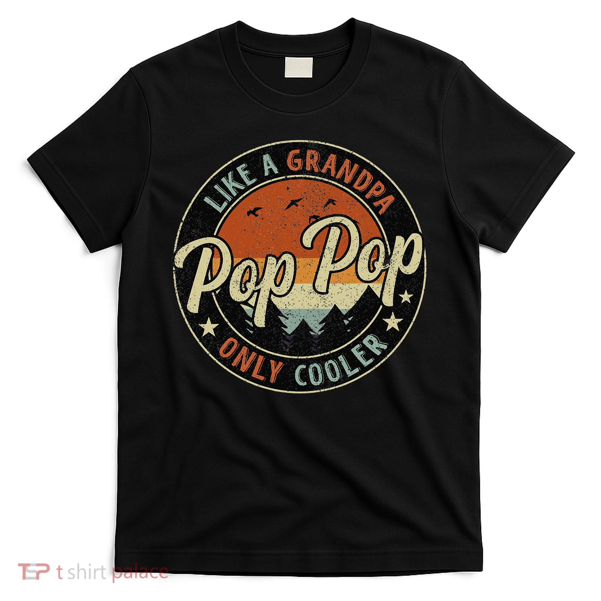 Pop Pop Like A Grandpa Only Cooler Vintage Retro Fathers Day T-Shirt