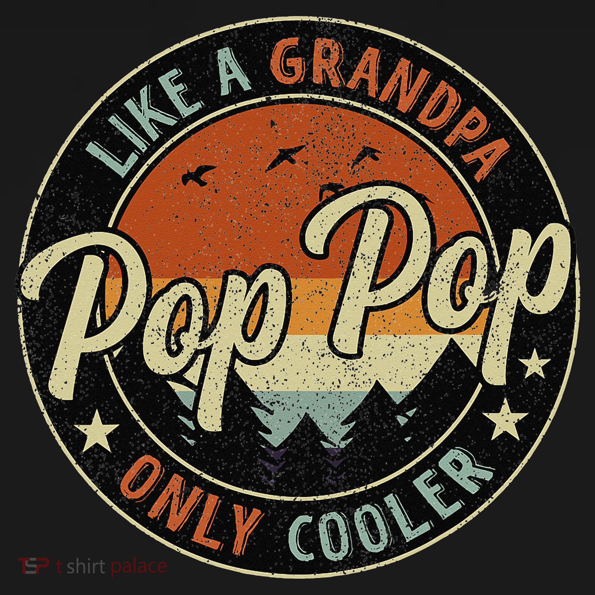Pop Pop Like A Grandpa Only Cooler Vintage Retro Fathers Day T-Shirt