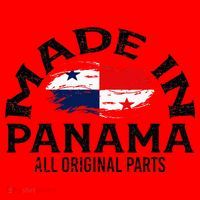 Panama Panamanian Made Flag Santa Hat thumb 1