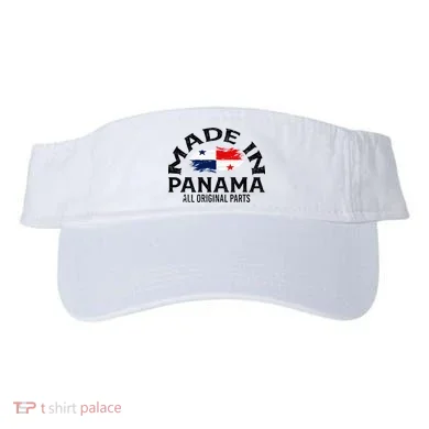 Visor