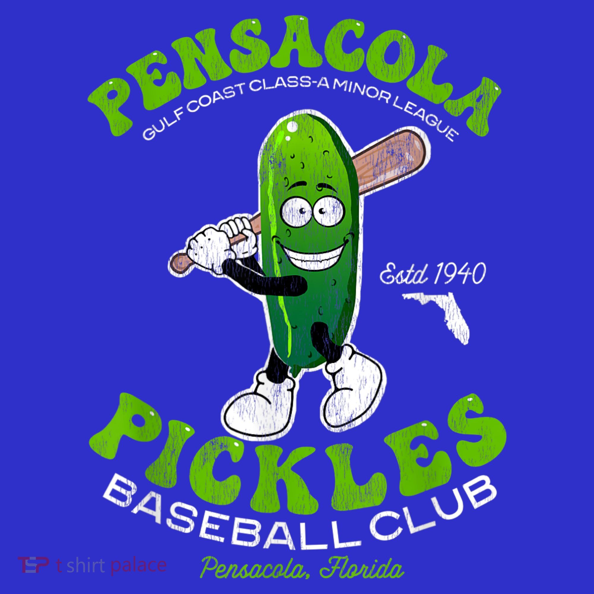 Pensacola Pickles Minor League Retro Baseball Team Visor