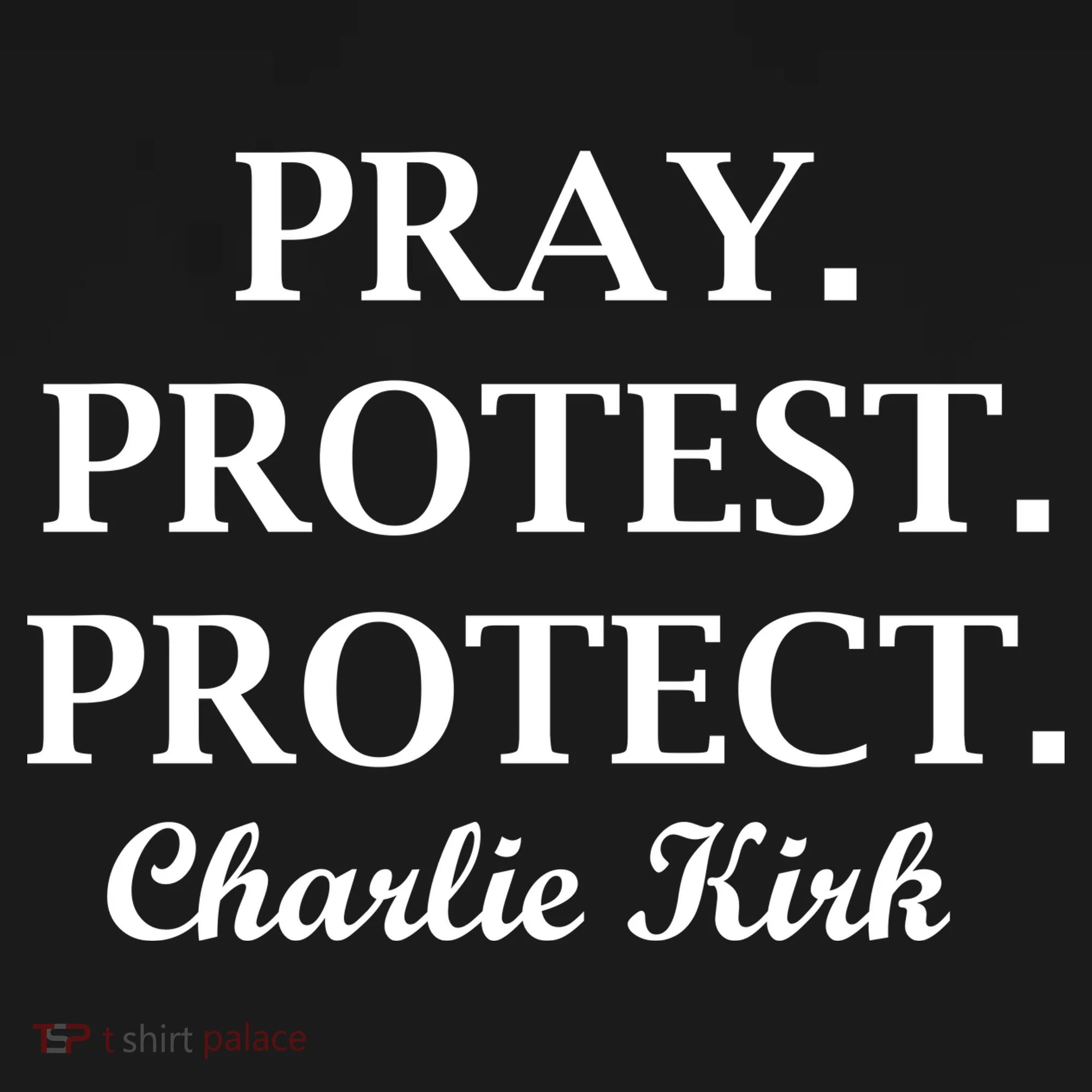 Pray Protest Protect Charlie Kirk Toddler Hoodie
