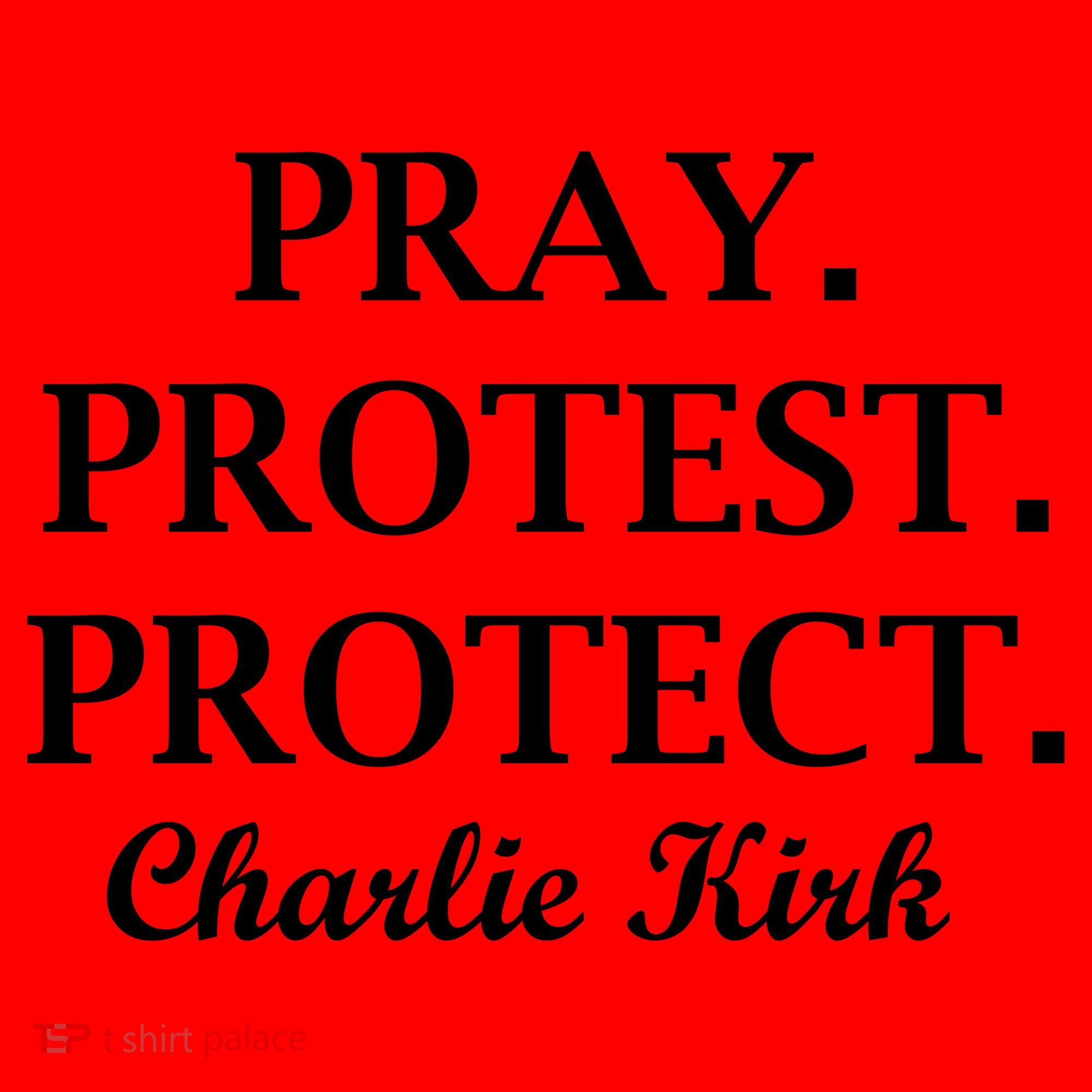 Pray Protest Protect Charlie Kirk Santa Hat