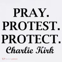 Pray Protest Protect Charlie Kirk Sweatshirt thumb 3