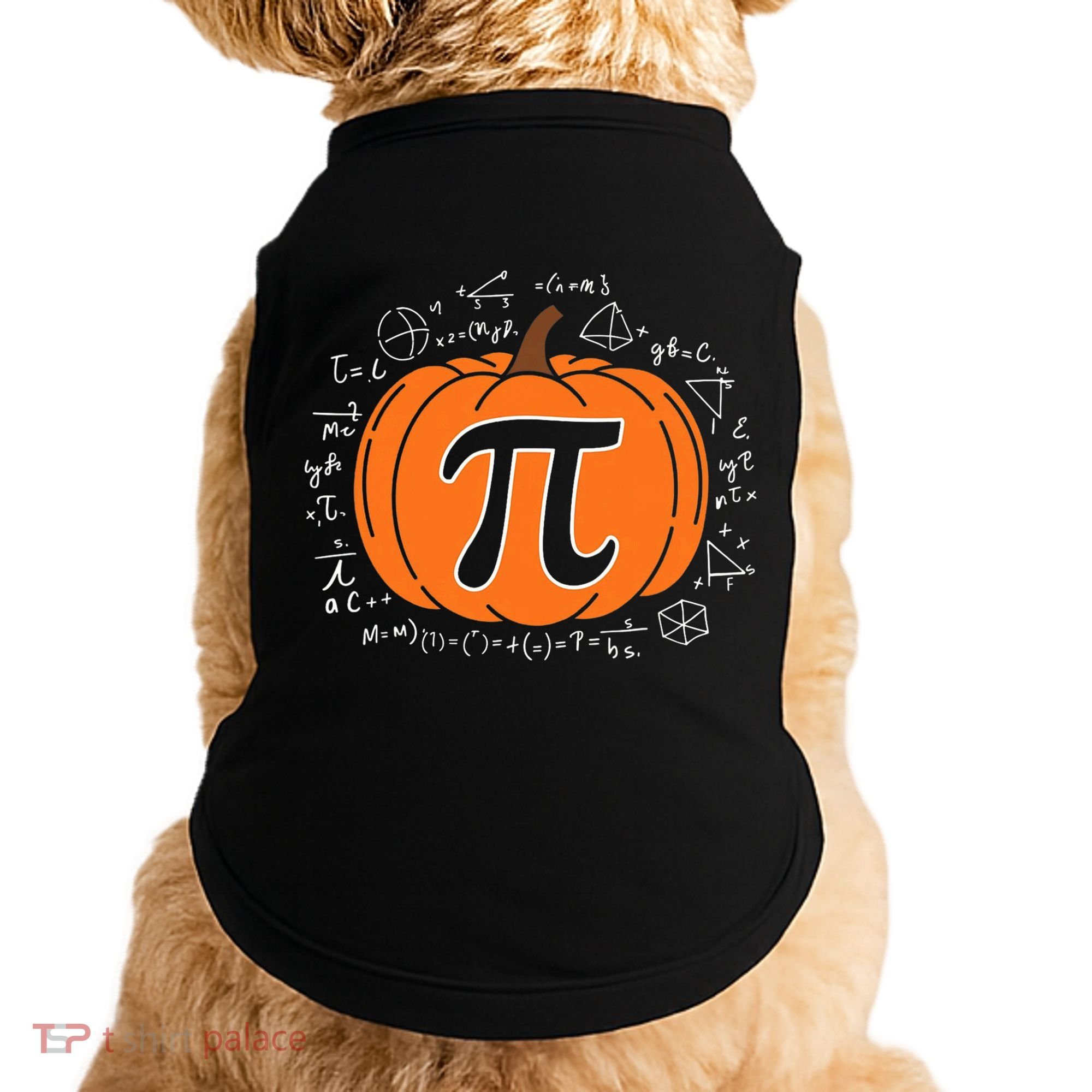 Pumpkin Pi Pie Math Teacher Funny Halloween Thanksgiving Doggie Tank