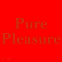 Pure Pleasure Santa Hat thumb 1
