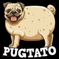 Pugtato Pug Potato Pug Lovers Stripe Pom Pom Beanie thumb 2