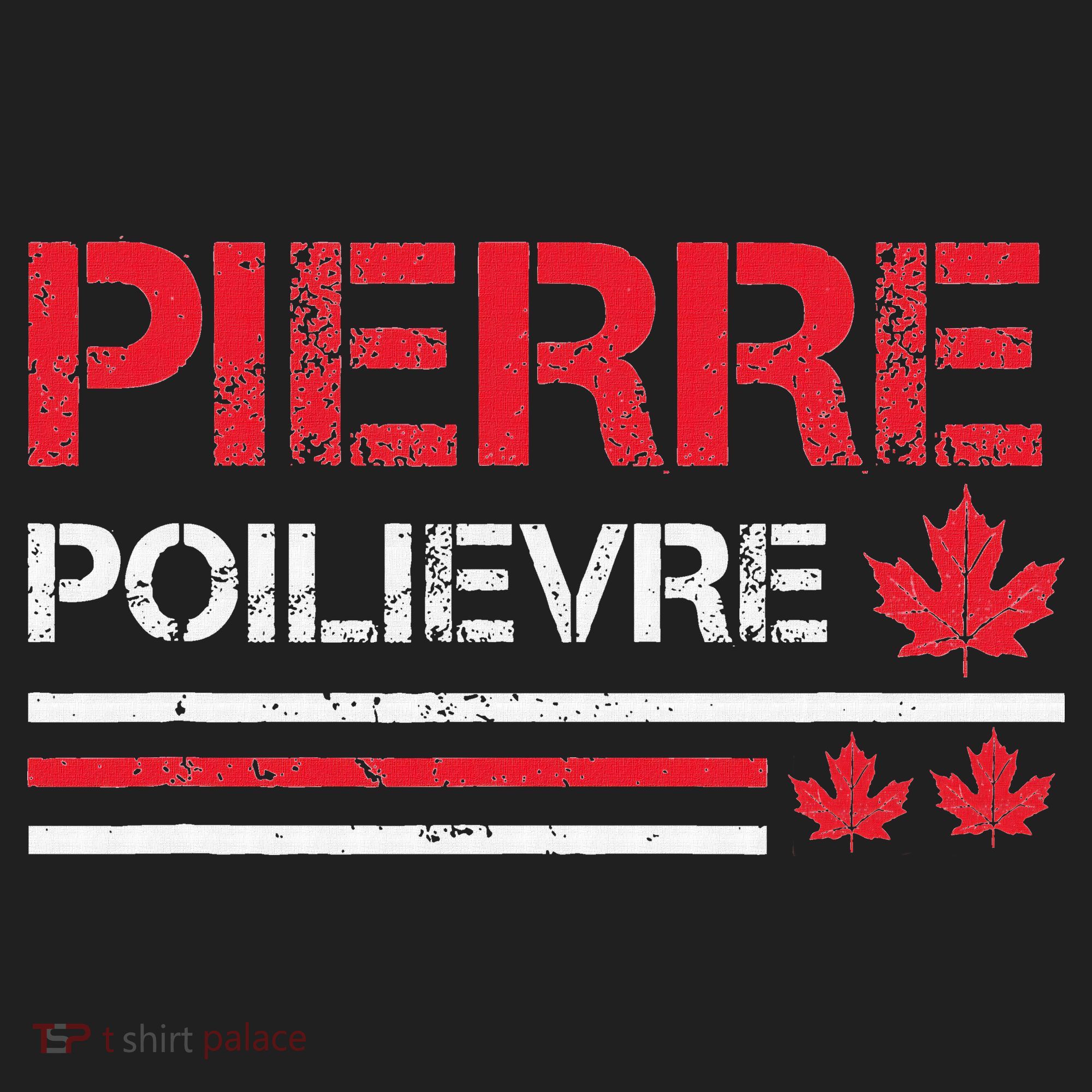 Pierre Poilievre Pierre Poilievre Prime Minister Beanie