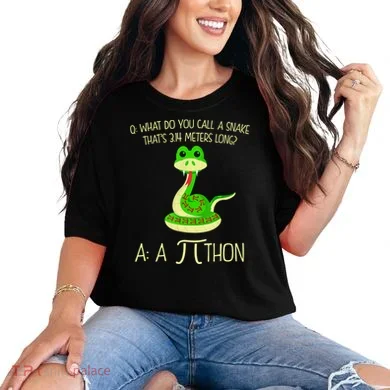 Python Pithon Pi Symbol Funny Math Teacher Comfort Colors T-Shirt