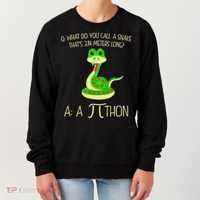 Python Pithon Pi Symbol Funny Math Teacher Women's Sweatshirt