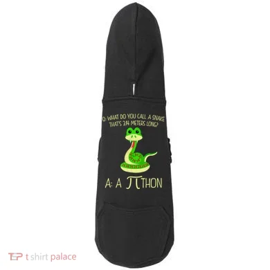 Python Pithon Pi Symbol Funny Math Teacher Doddie Hoodie