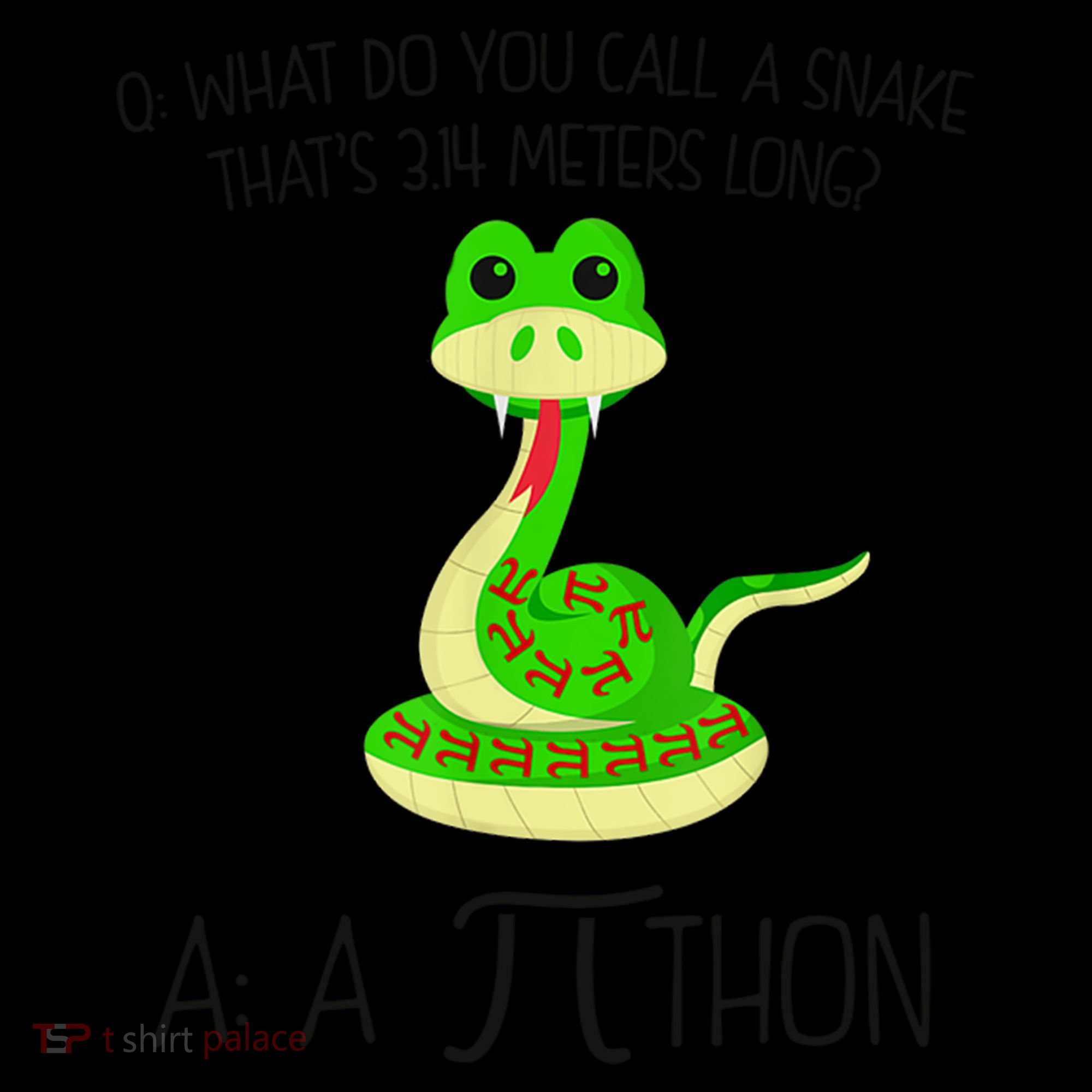 Python Pithon Pi Symbol Funny Math Teacher Coffee Mug