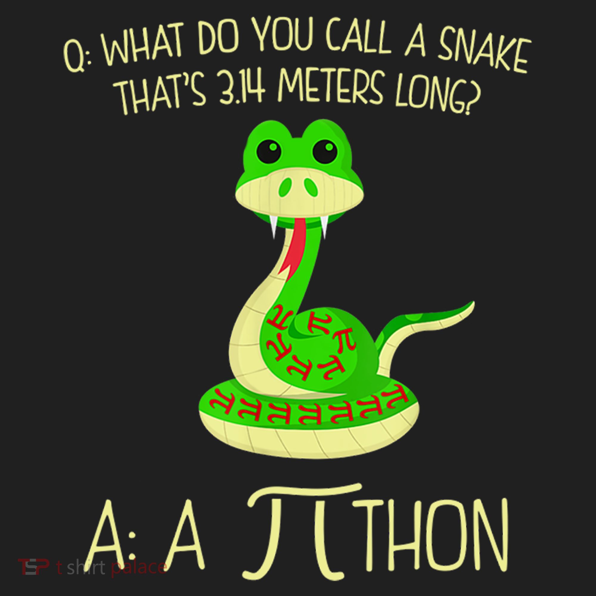 Python Pithon Pi Symbol Funny Math Teacher Beanie