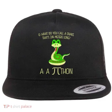 Python Pithon Pi Symbol Funny Math Teacher Flat Bill Trucker Hat