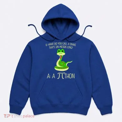 Python Pithon Pi Symbol Funny Math Teacher Hoodie