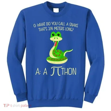 Python Pithon Pi Symbol Funny Math Teacher Sweatshirt