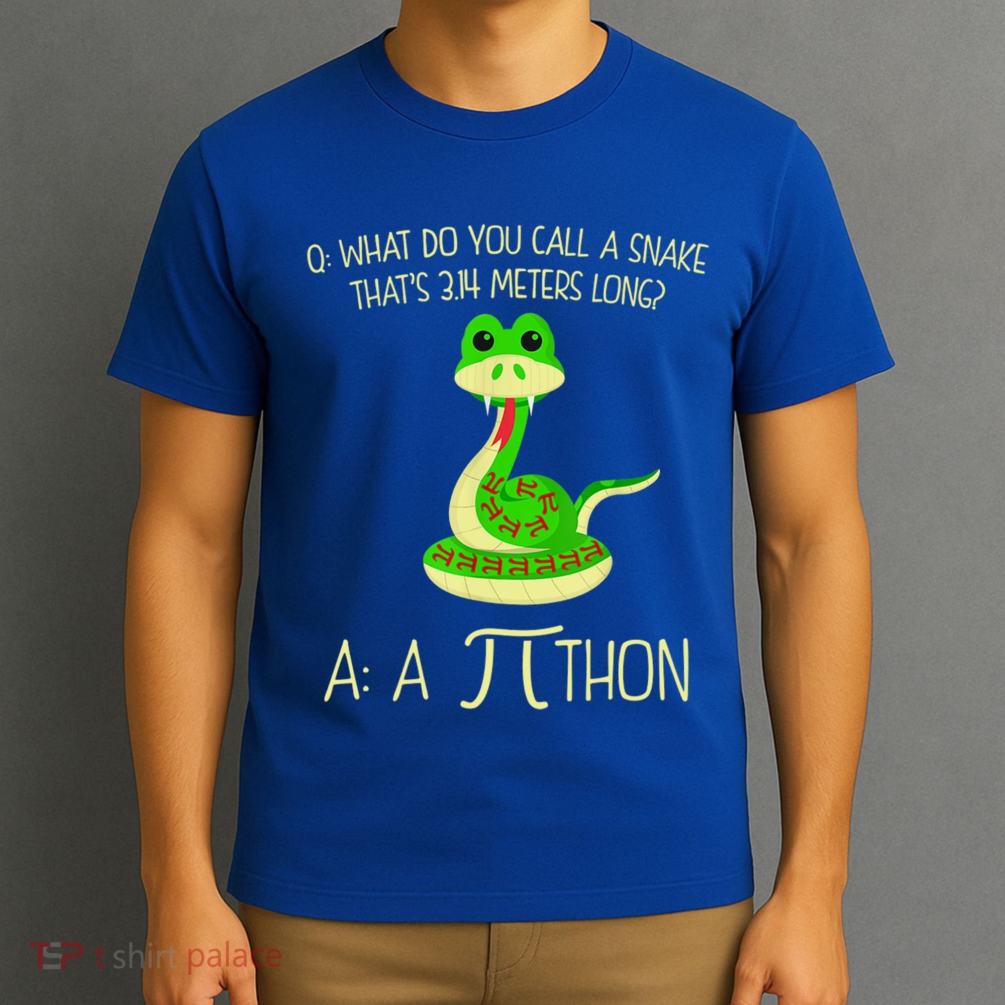 Python Pithon Pi Symbol Funny Math Teacher T-Shirt