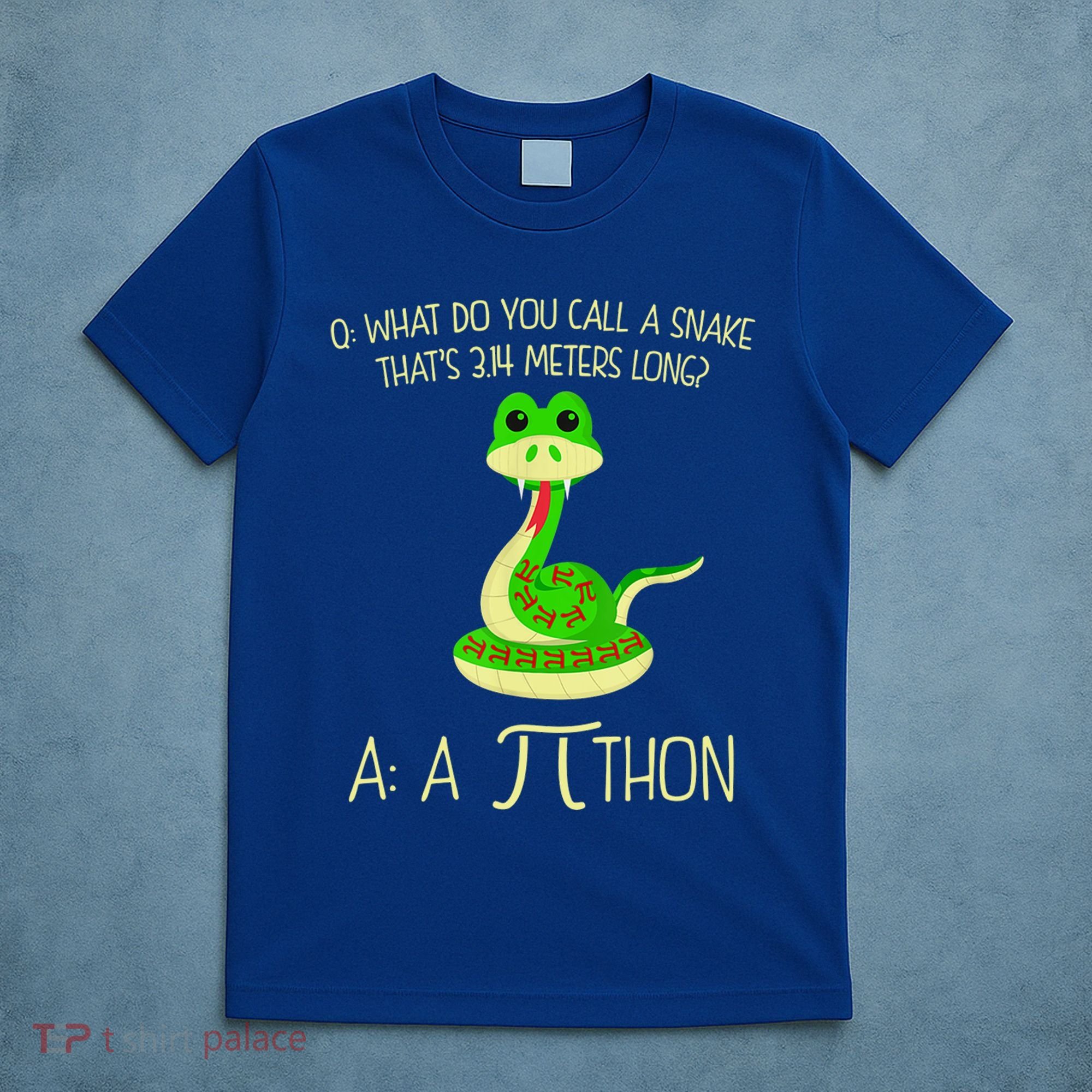 Python Pithon Pi Symbol Funny Math Teacher T-Shirt