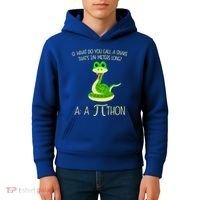 Python Pithon Pi Symbol Funny Math Teacher Kids Hoodie thumb 4