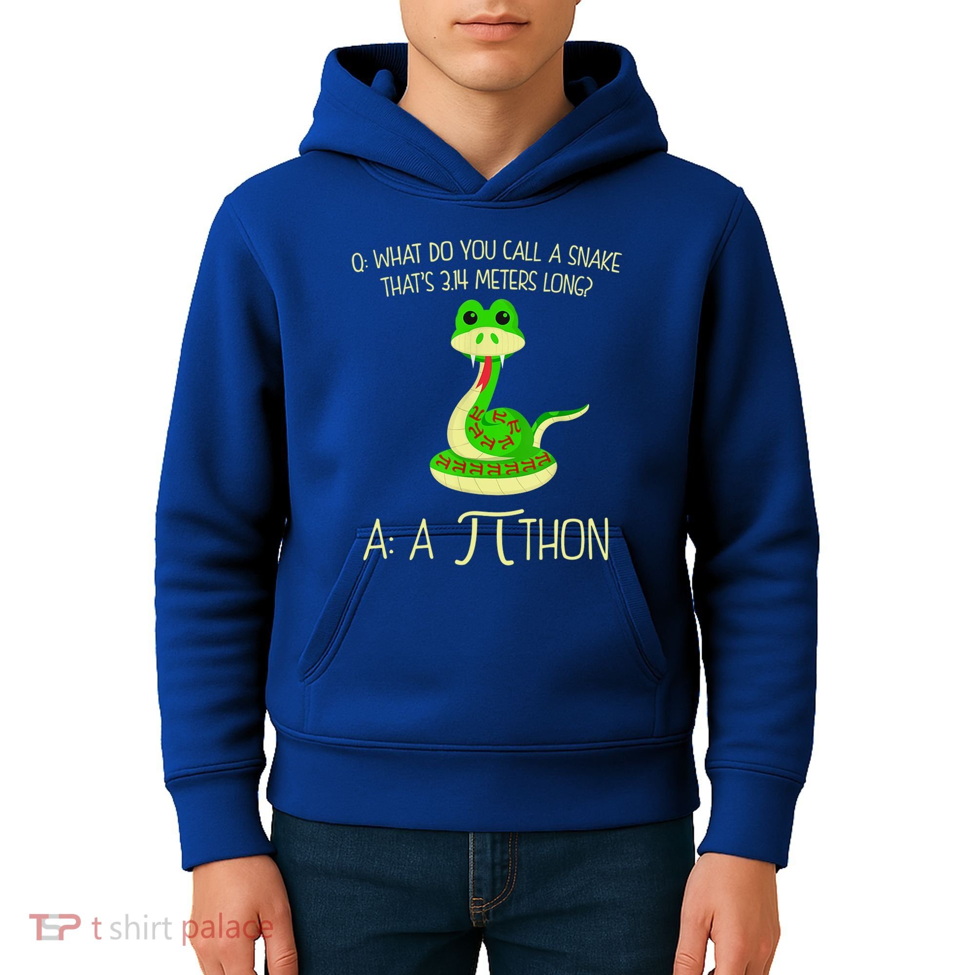 Python Pithon Pi Symbol Funny Math Teacher Kids Hoodie