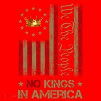 Patriotic Pro-Democracy Protest June 14 No Kings In America Santa Hat thumb 1