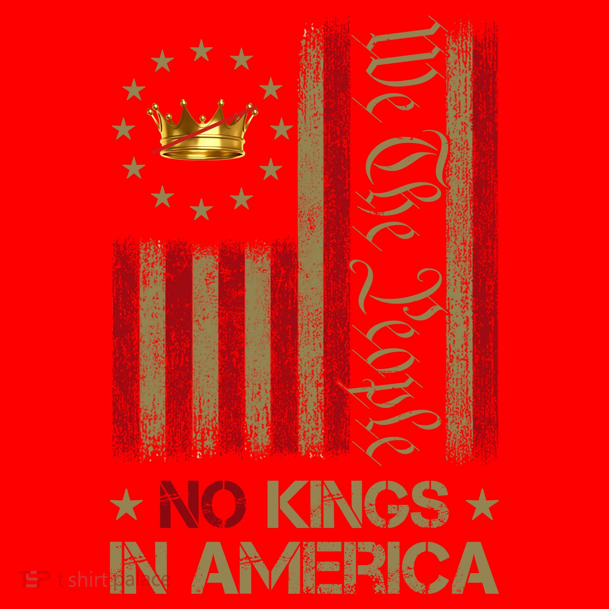 Patriotic Pro-Democracy Protest June 14 No Kings In America Santa Hat