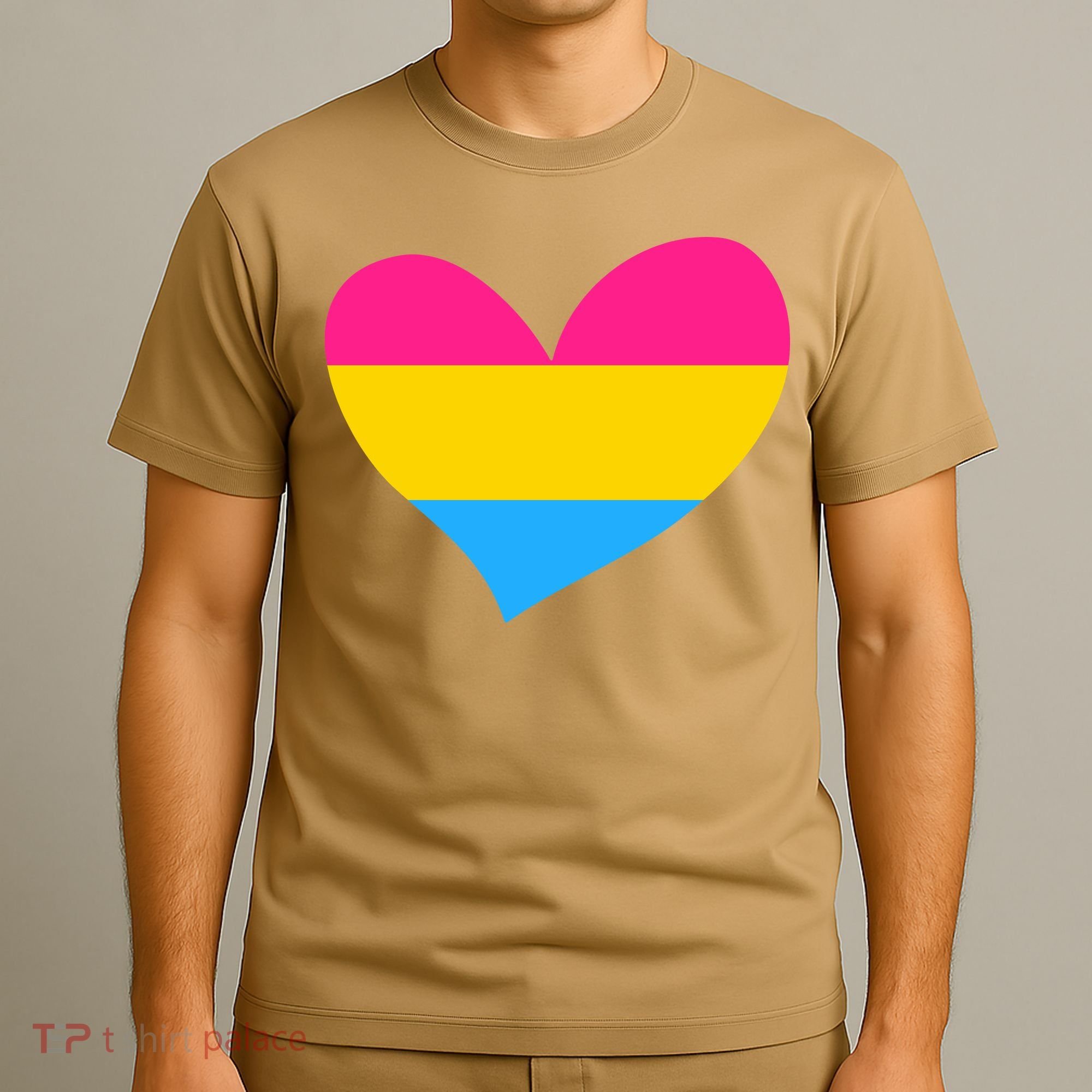 Pansexual Pan Pride Flag Heart LGBT T-Shirt