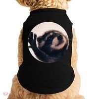 Pedro Pedro Racoon Dance Popular Internet Meme Racoon Day Doggie Tank thumb 0