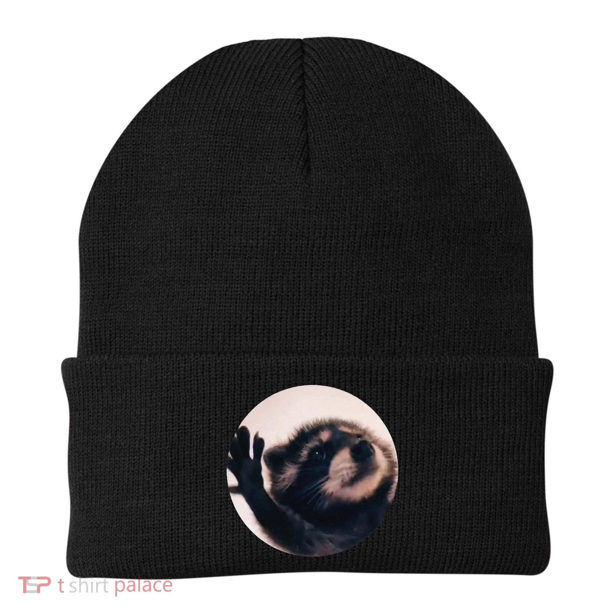 Pedro Pedro Racoon Dance Popular Internet Meme Racoon Day Beanie