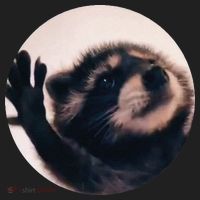 Pedro Pedro Racoon Dance Popular Internet Meme Racoon Day Beanie thumb 2