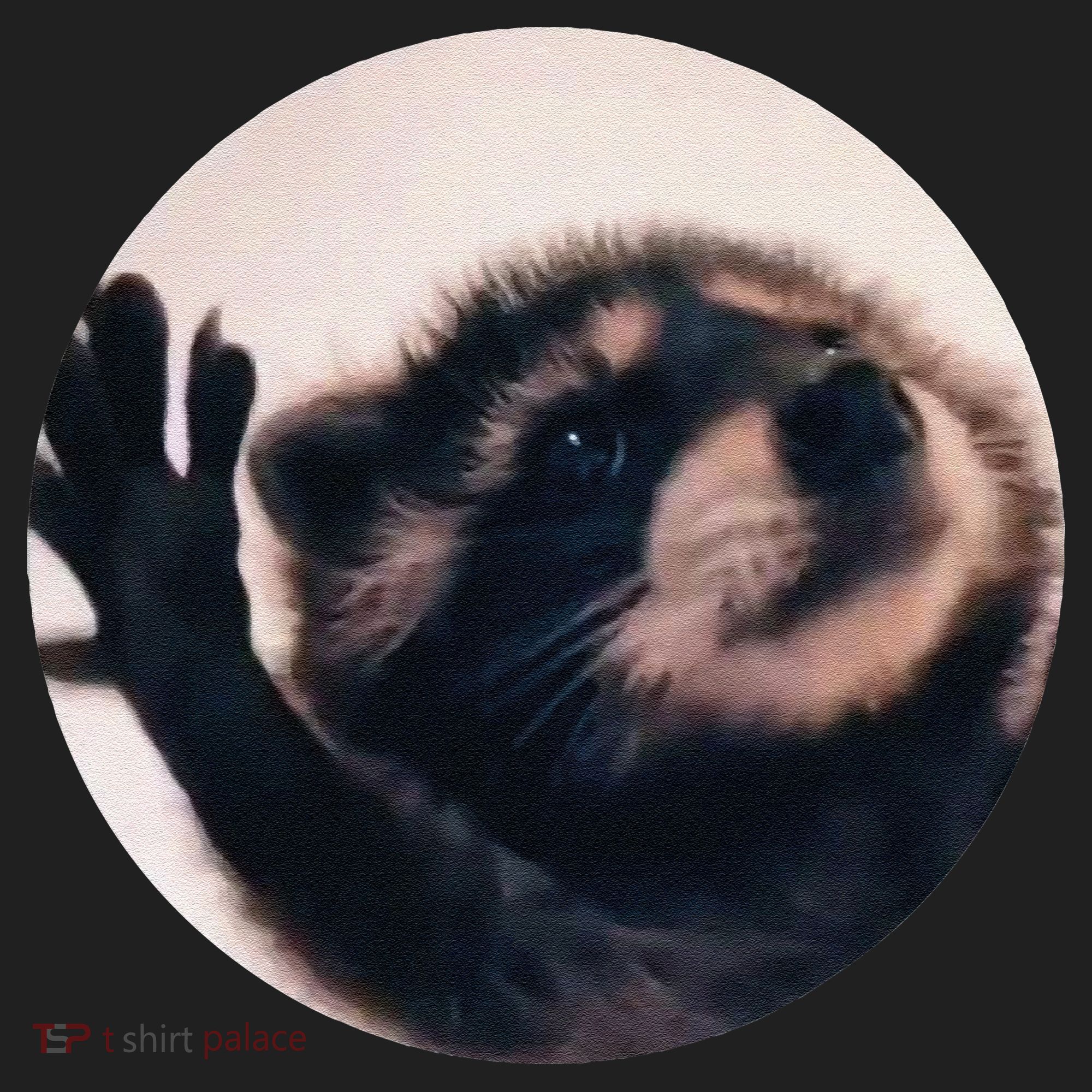 Pedro Pedro Racoon Dance Popular Internet Meme Racoon Day Beanie