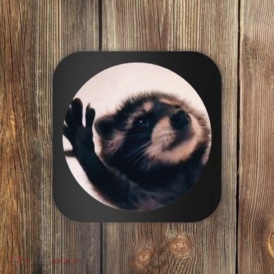 Pedro Pedro Racoon Dance Popular Internet Meme Racoon Day Coaster