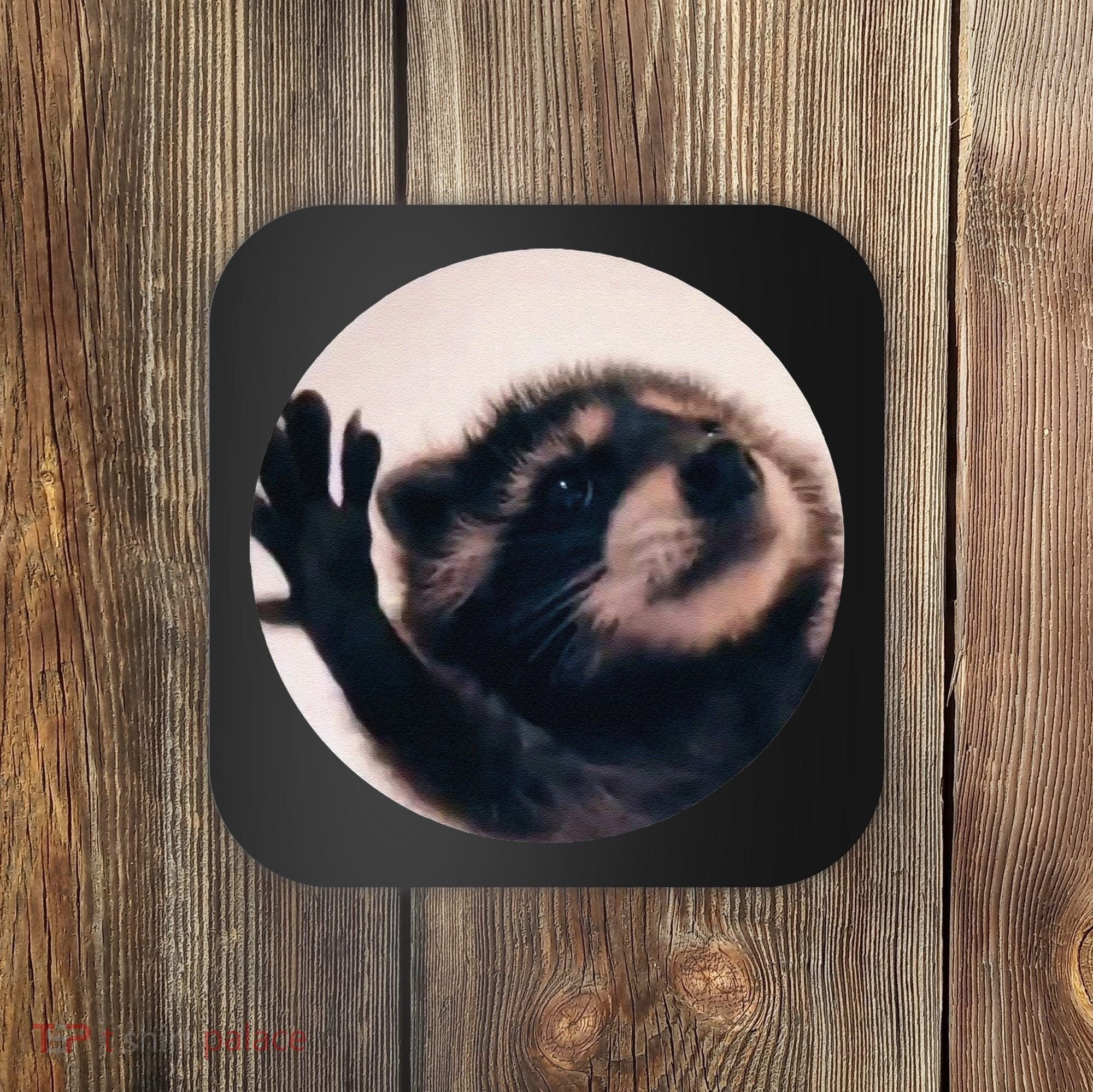 Pedro Pedro Racoon Dance Popular Internet Meme Racoon Day Coaster
