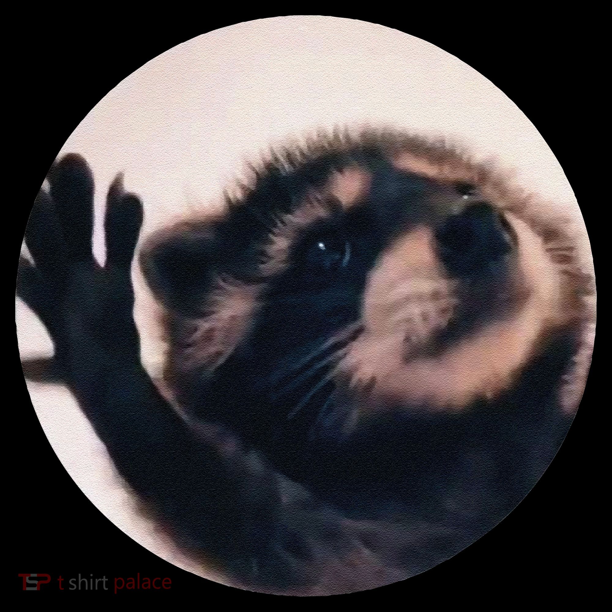 Pedro Pedro Racoon Dance Popular Internet Meme Racoon Day Baby Bodysuit