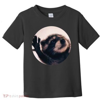 Pedro Pedro Racoon Dance Popular Internet Meme Racoon Day Toddler T-Shirt