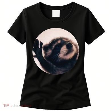 Pedro Pedro Racoon Dance Popular Internet Meme Racoon Day Women's T-Shirt