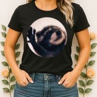 Pedro Pedro Racoon Dance Popular Internet Meme Racoon Day Women's T-Shirt thumb 2
