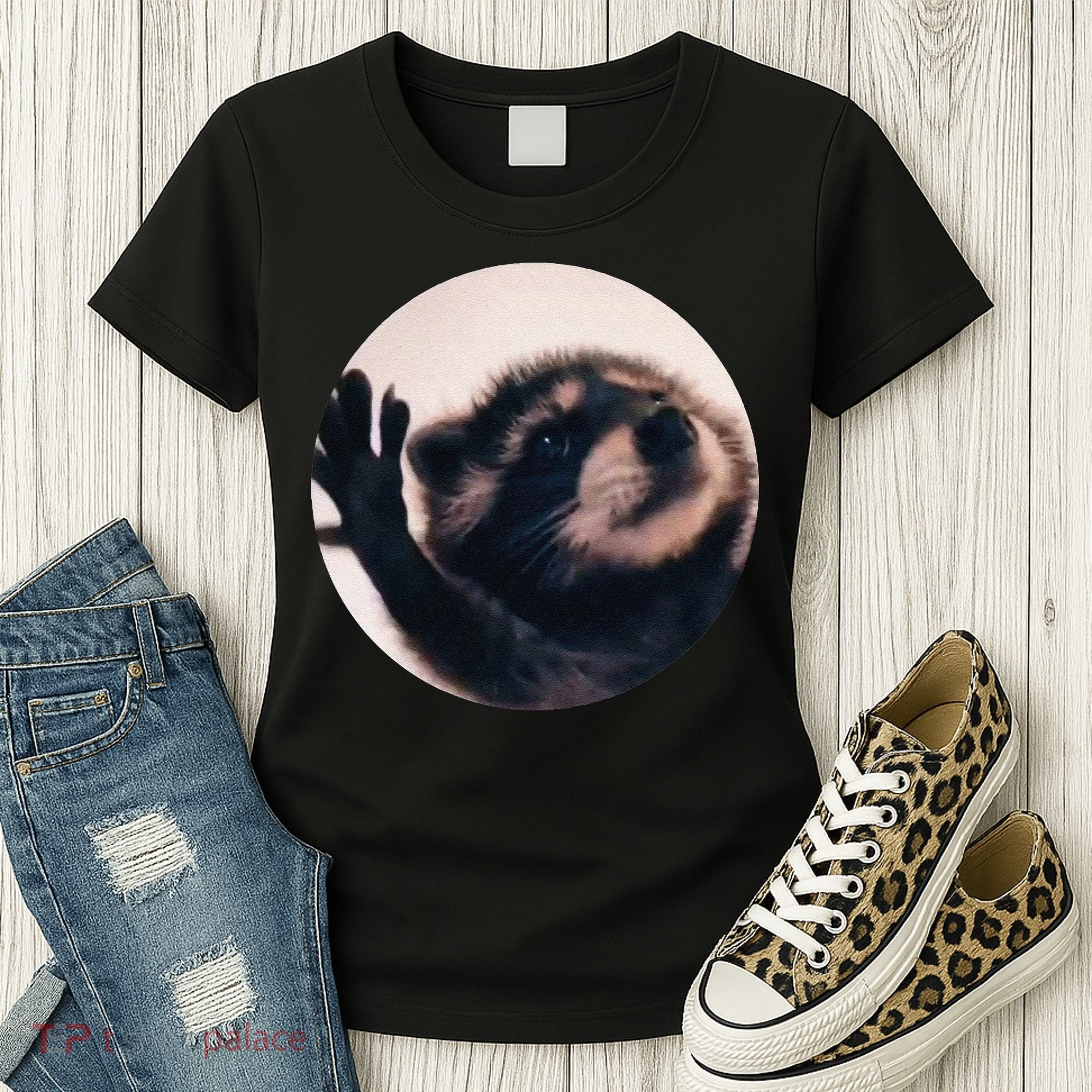 Pedro Pedro Racoon Dance Popular Internet Meme Racoon Day Women's T-Shirt