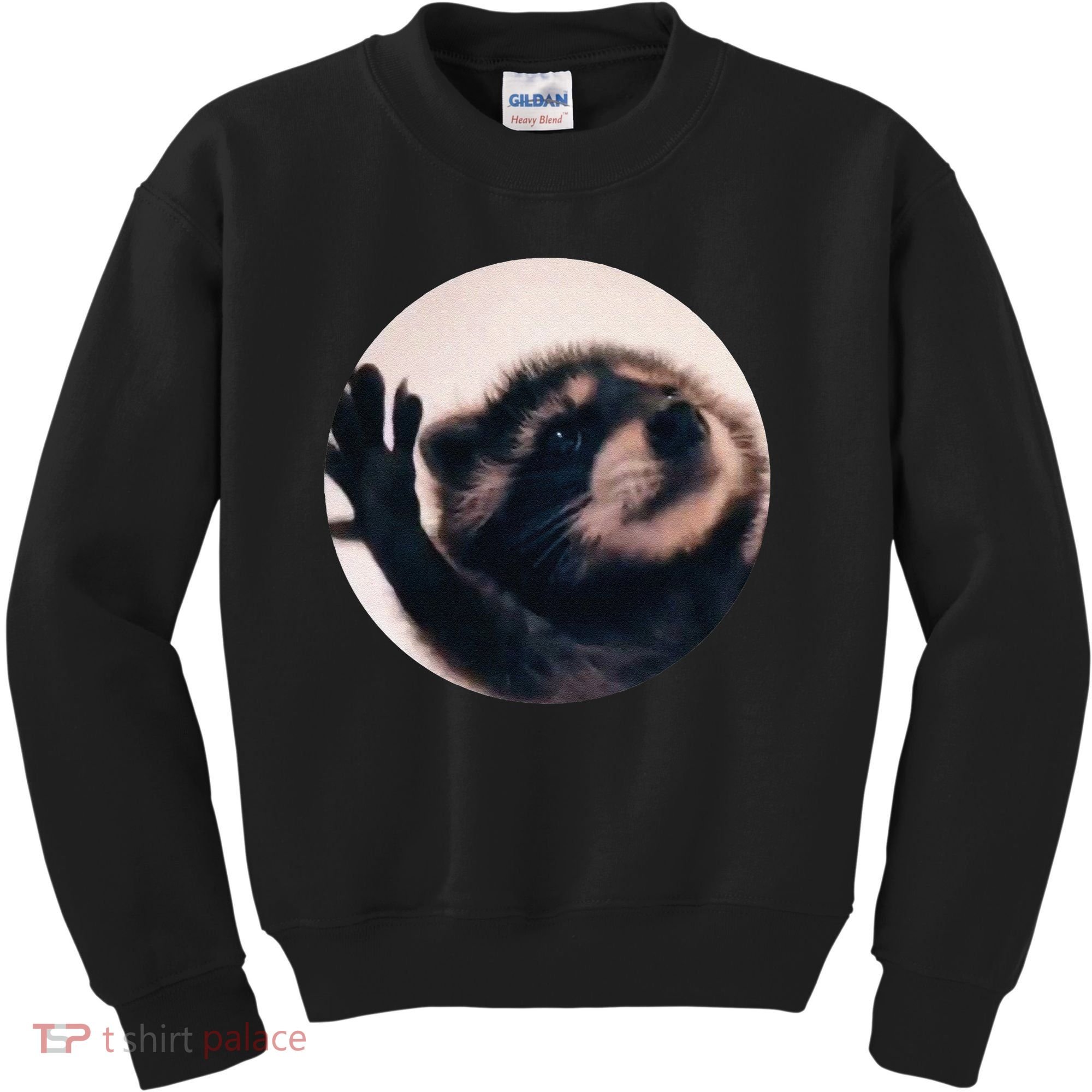 Pedro Pedro Racoon Dance Popular Internet Meme Racoon Day Kids Sweatshirt